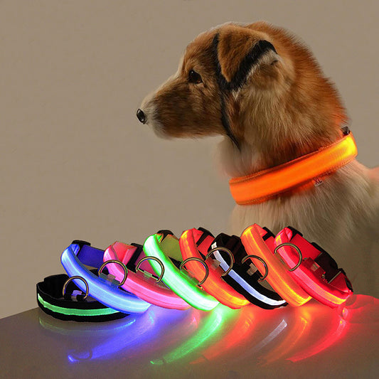 Adjustable Luminous Dog Collar for Night Safety