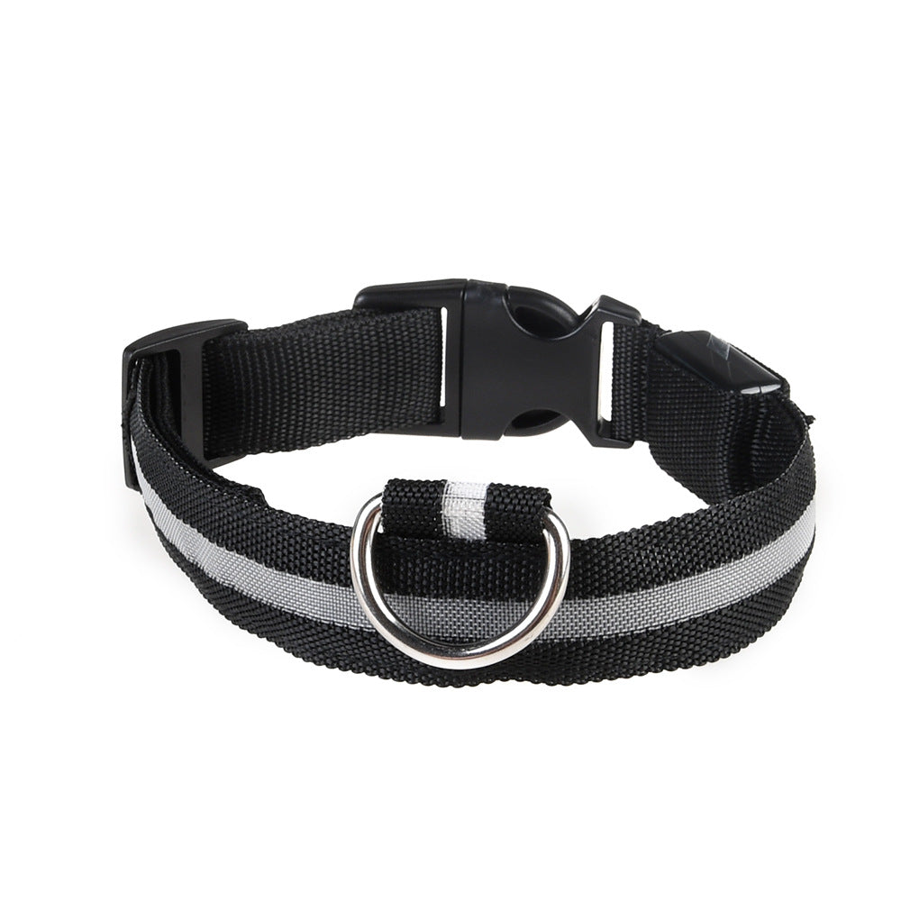 Adjustable Luminous Dog Collar for Night Safety