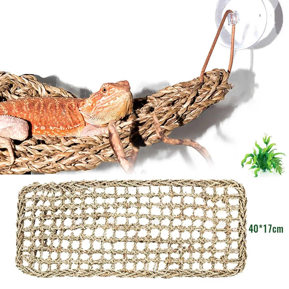 Reptile Hammock – Terrarium Decoration