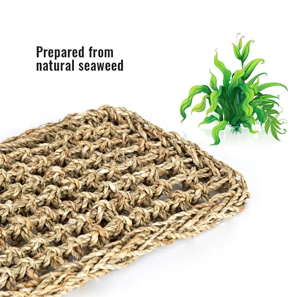 Reptile Hammock – Terrarium Decoration