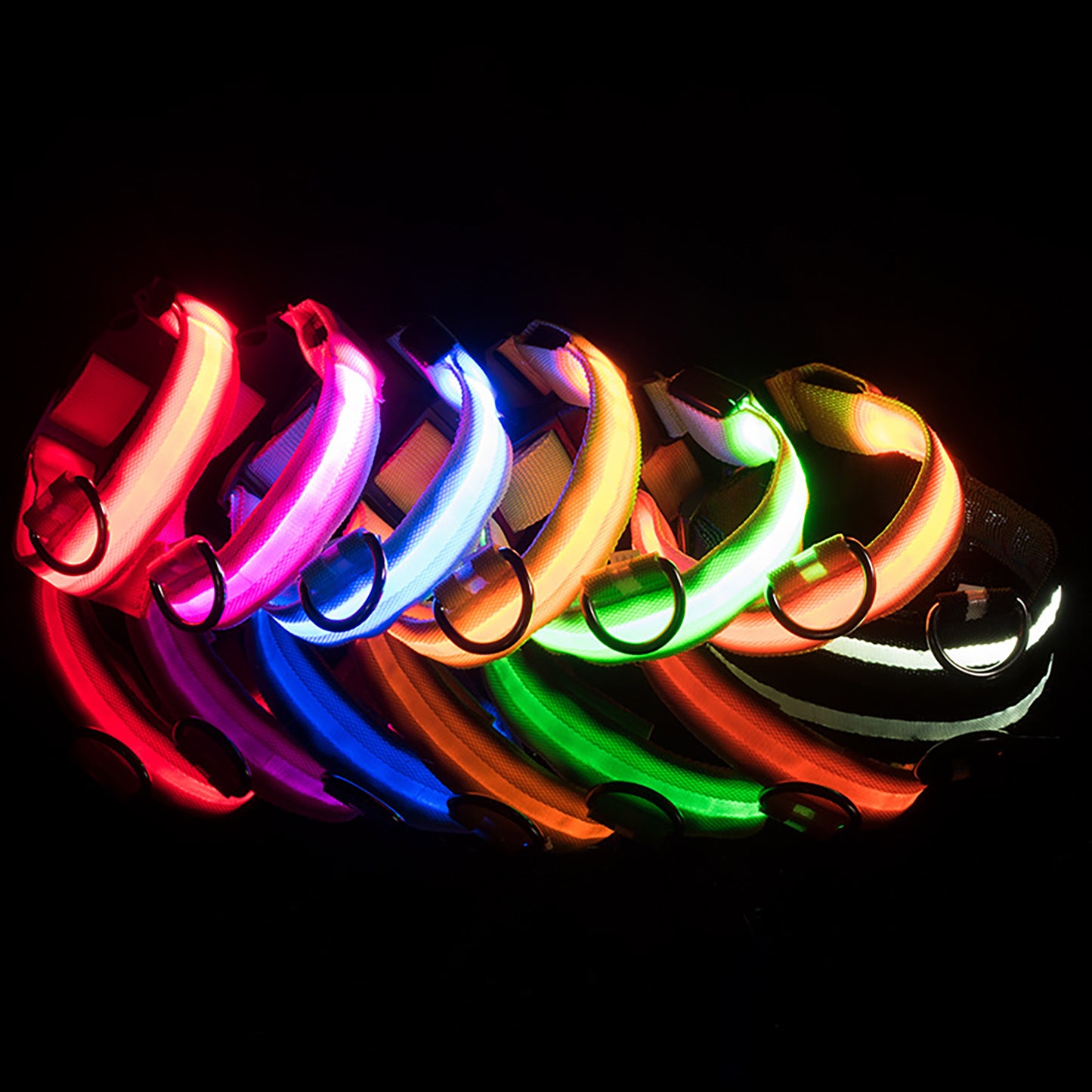 Adjustable Luminous Dog Collar for Night Safety